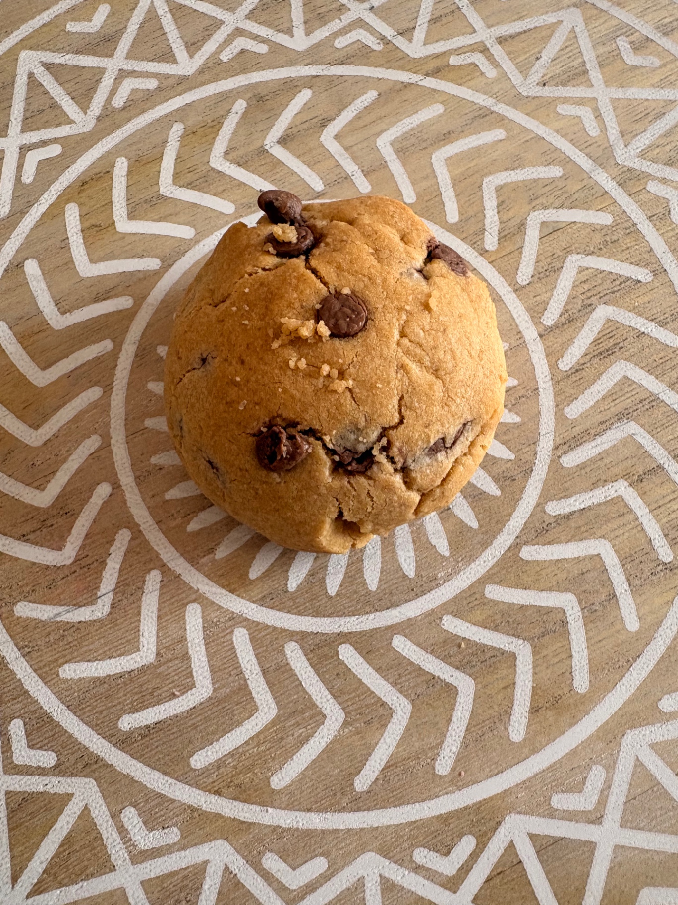 Fudgy Chocolate Chip Cookie
